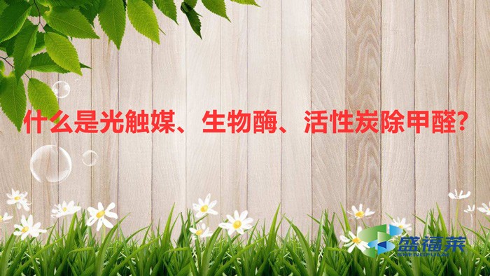 什么是光觸媒、生物酶、活性炭除甲醛?