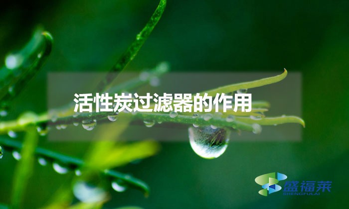 活性炭過(guò)濾器的作用（活性炭過(guò)濾器的應(yīng)用）