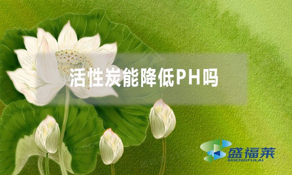 活性炭能降低PH嗎？為什么？