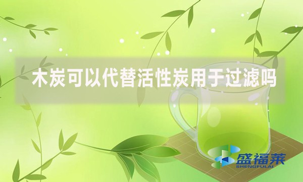 木炭可以代替活性炭用于過濾嗎？