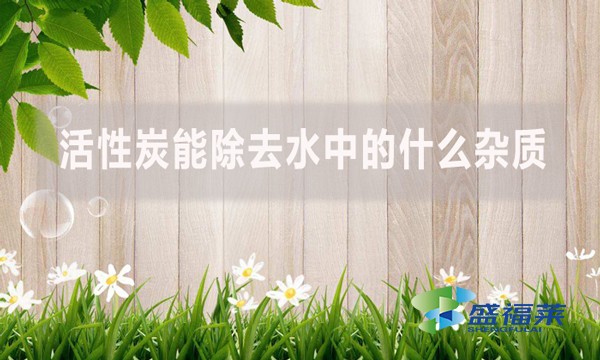 活性炭能除去水中的什么雜質(zhì)？