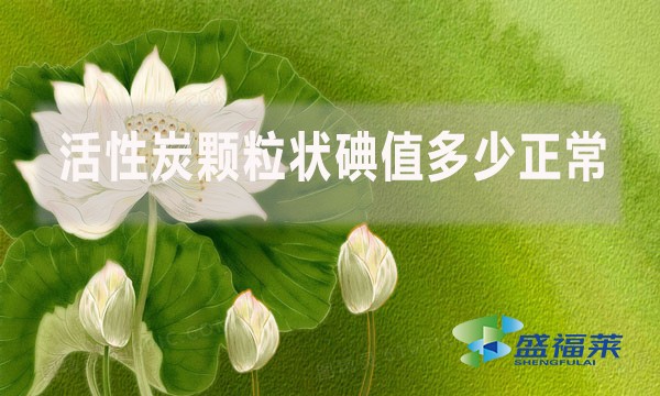 活性炭顆粒狀碘值多少正常？