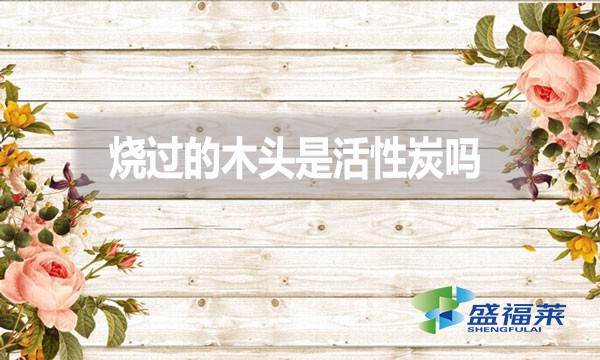 燒過(guò)的木頭是活性炭嗎?