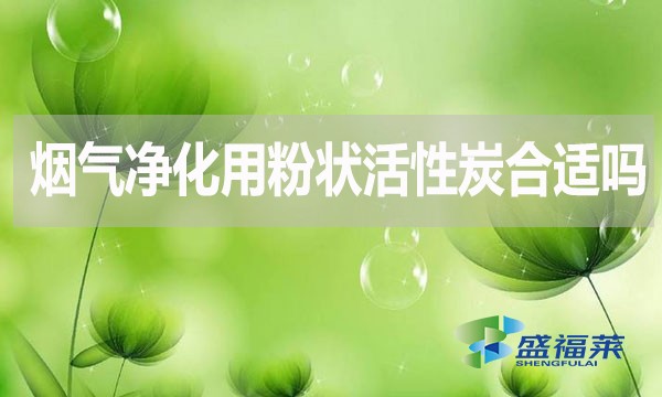 煙氣凈化用粉狀活性炭合適嗎？