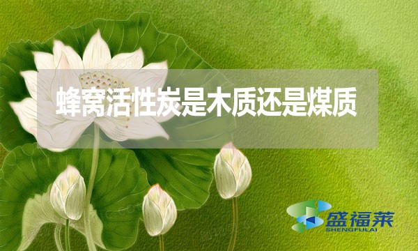 蜂窩活性炭是木質(zhì)還是煤質(zhì)？哪種好？