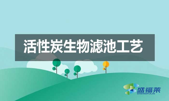 活性炭生物濾池工藝（BAC工藝升級(jí)案例）