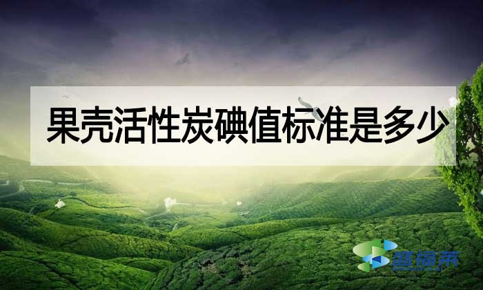 果殼活性炭碘值標(biāo)準(zhǔn)是多少？與其他活性炭相差多少？