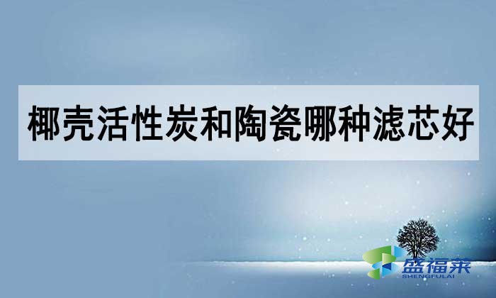 椰殼活性炭和陶瓷哪種濾芯好？如何選擇？